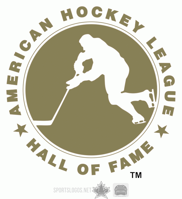 American Hockey League 2005 06-Pres Misc Logo iron on transfers for clothing